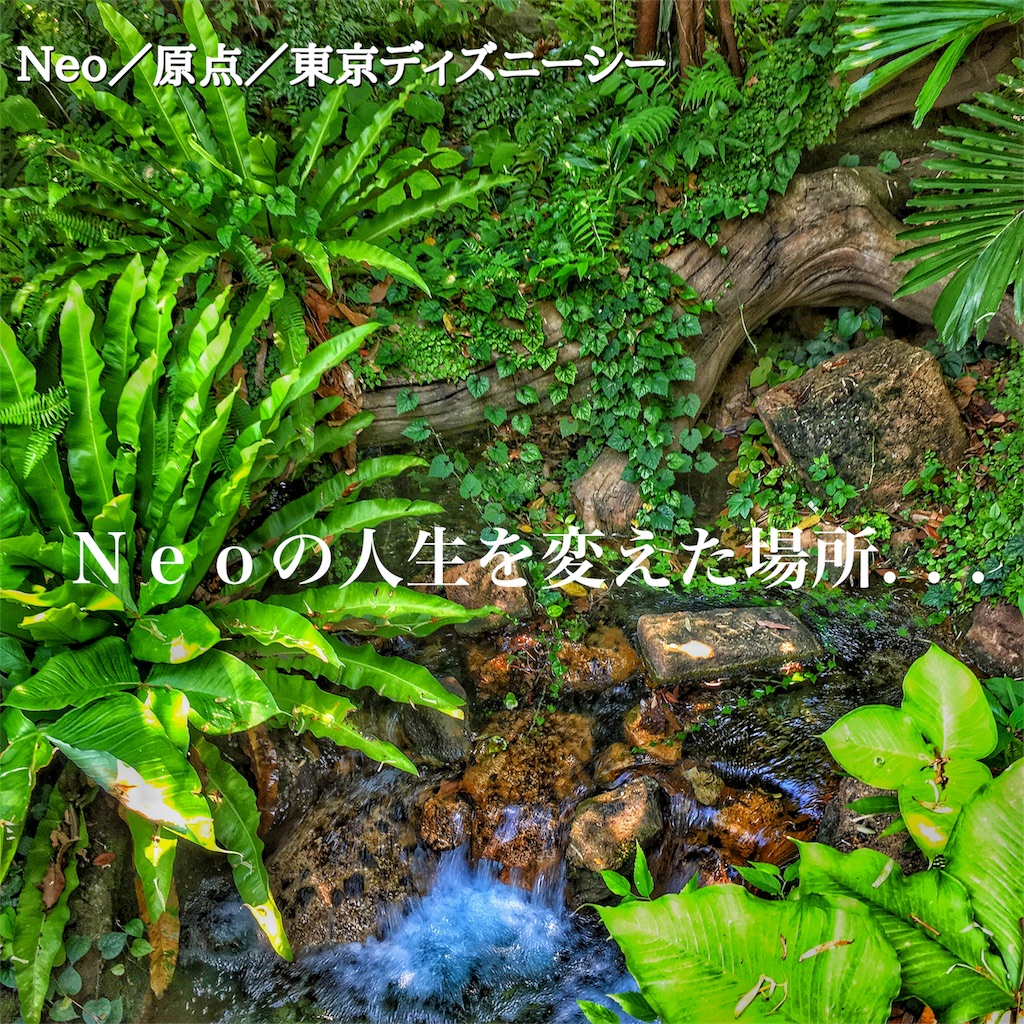 f:id:zv1g8037290y7f208:20170716022023j:image f:id:zv1g8037290y7f208:20170716022023j:image
