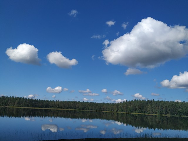 f:id:zweitesfruehstueck:20190725042431j:image f:id:zweitesfruehstueck:20190725042431j:image