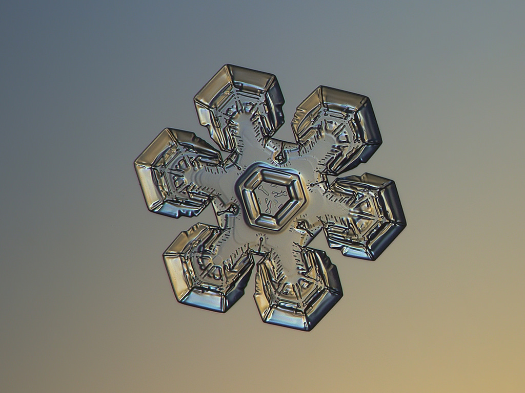 f:id:zwrite:20170115024650j:plain f:id:zwrite:20170115024650j:plain