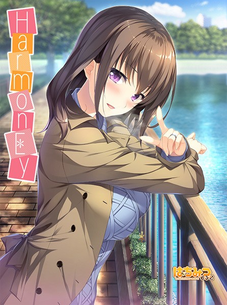 f:id:zyasuko:20180214194525j:plain