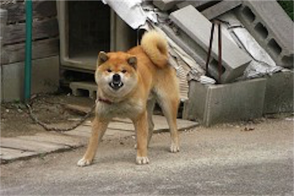 f:id:zyuumonziyari:20180505171419j:image f:id:zyuumonziyari:20180505171419j:image