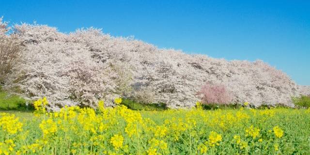 関東のイメージ画像