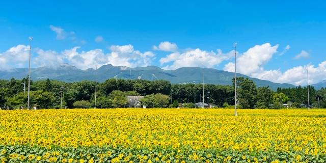 栃木県のイメージ画像