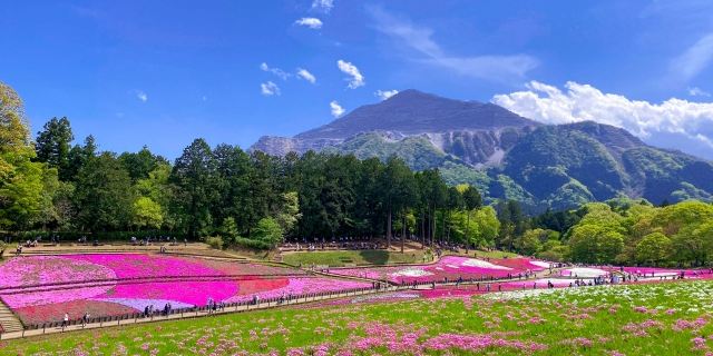 埼玉県のイメージ画像