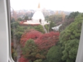 [風景]紅葉の聖地公園