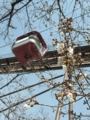 [風景]バンデッド前の桜20090329