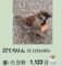 いい兄さん