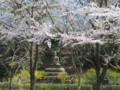 [風景]大仏＠よみうりランド聖地公園