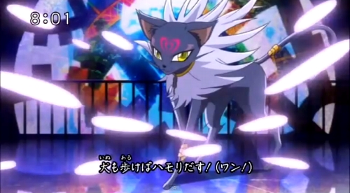 個別 プリキュア 定型文 犬も歩けば 猫 の写真 画像 Zzteralin S Fotolife