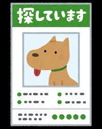 f:id:zzz2200:20191101183745j:plain f:id:zzz2200:20191101183745j:plain