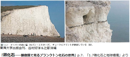 f:id:zzz_zzzz:20210308110355j:plain