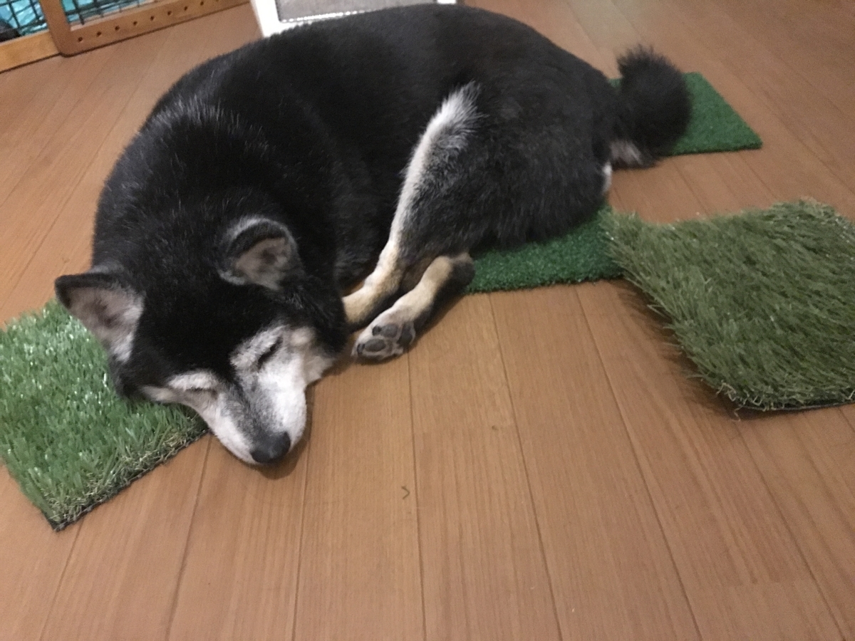f:id:zzzhm:20190807180331j:plain f:id:zzzhm:20190807180331j:plain