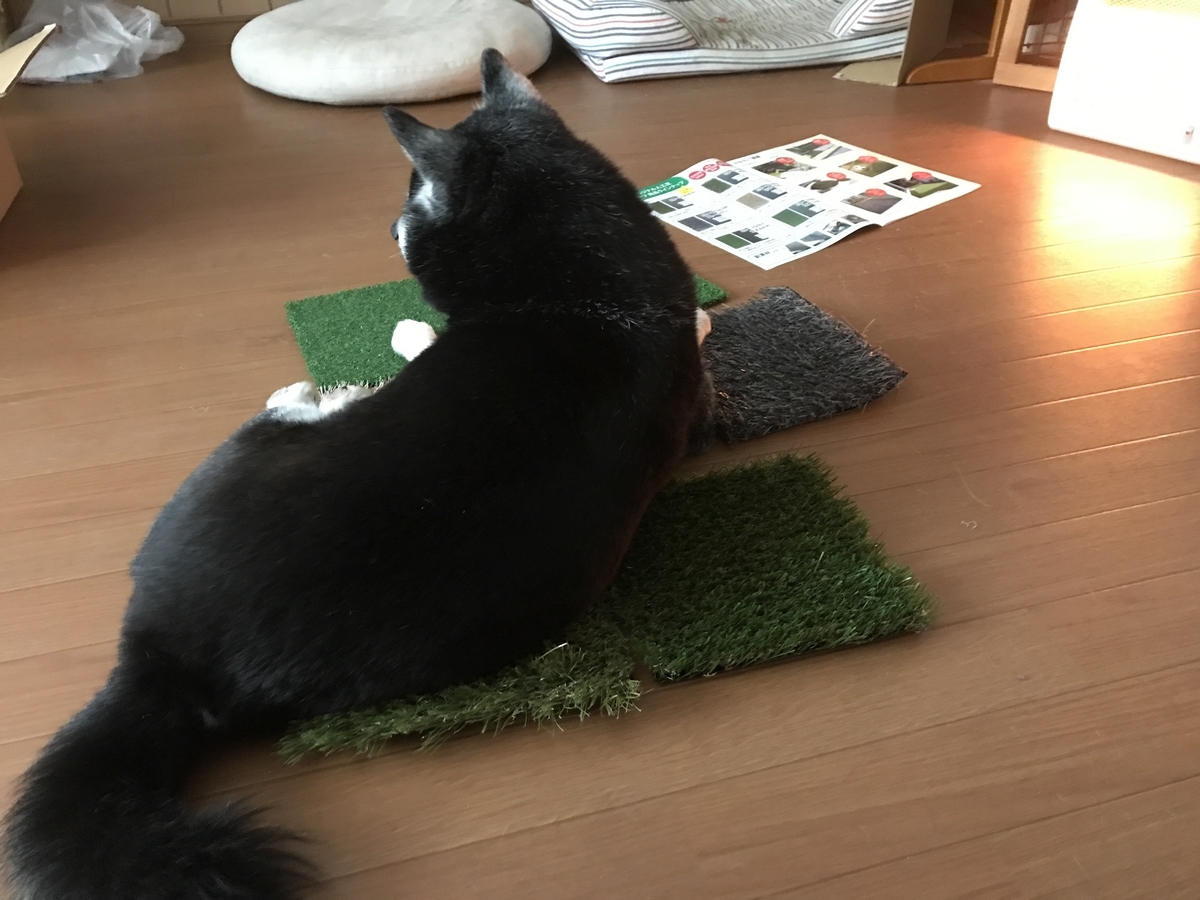 f:id:zzzhm:20190807180349j:plain f:id:zzzhm:20190807180349j:plain