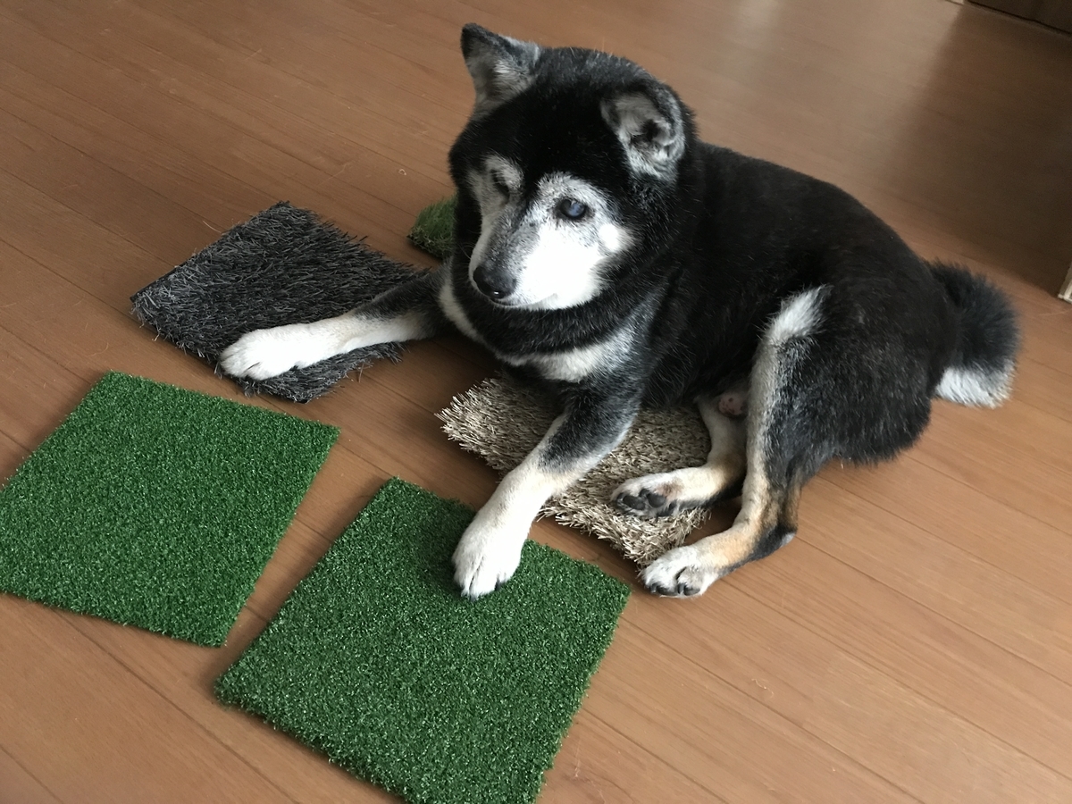 f:id:zzzhm:20190807180411j:plain f:id:zzzhm:20190807180411j:plain