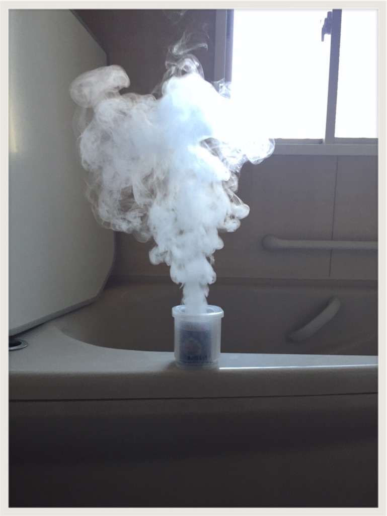 f:id:zzzpanda:20160508211159j:plain:w300