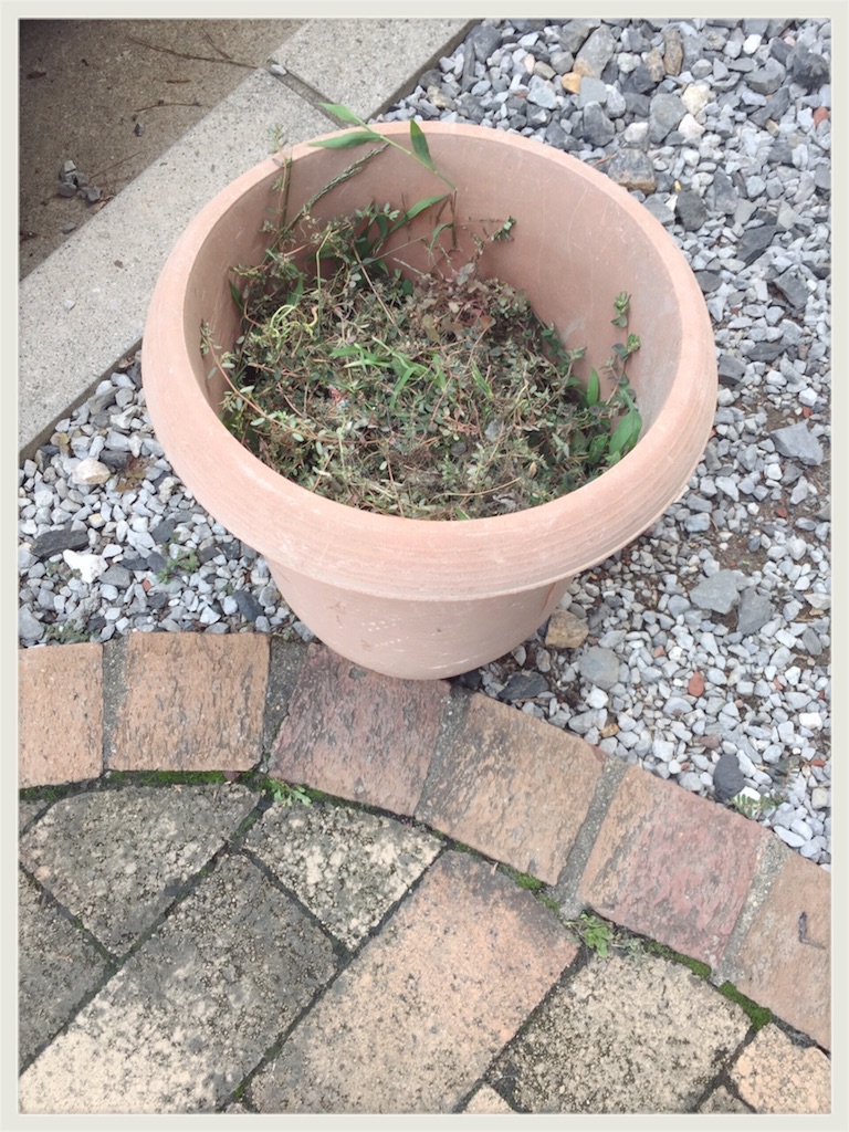 f:id:zzzpanda:20160617223030j:image