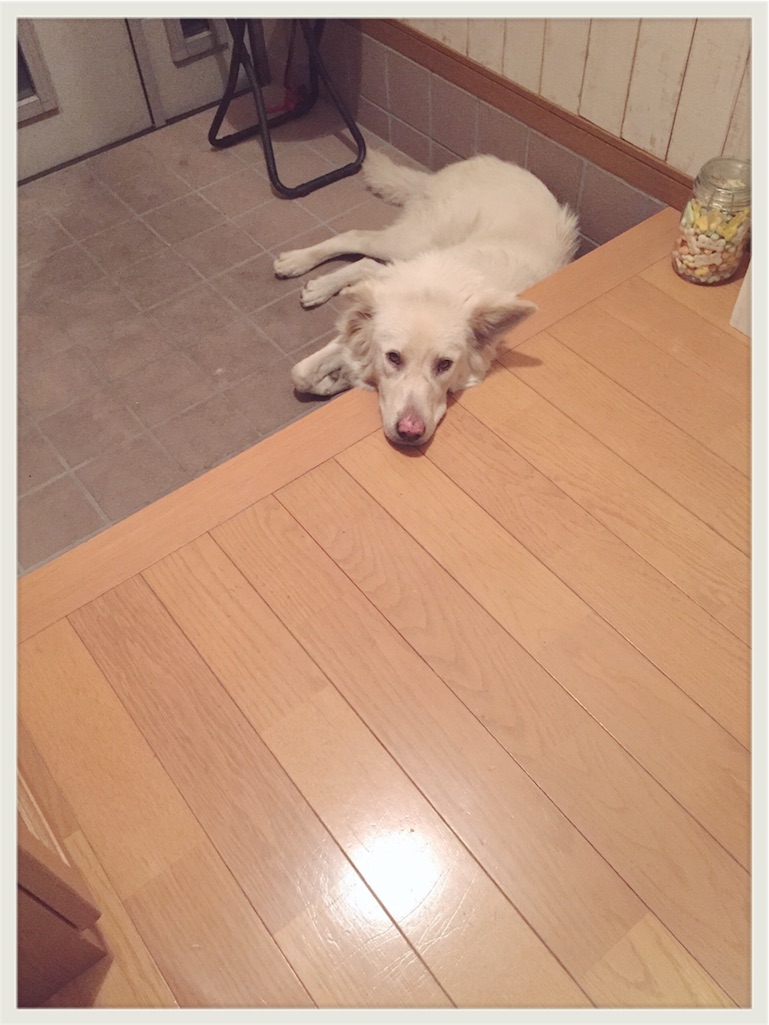 f:id:zzzpanda:20160722100828j:image