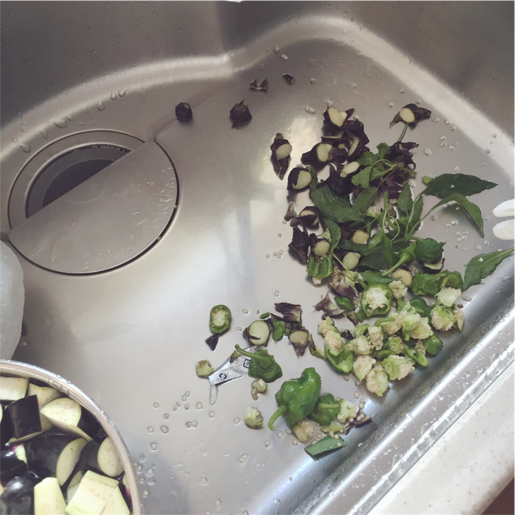 f:id:zzzpanda:20161112093250j:image