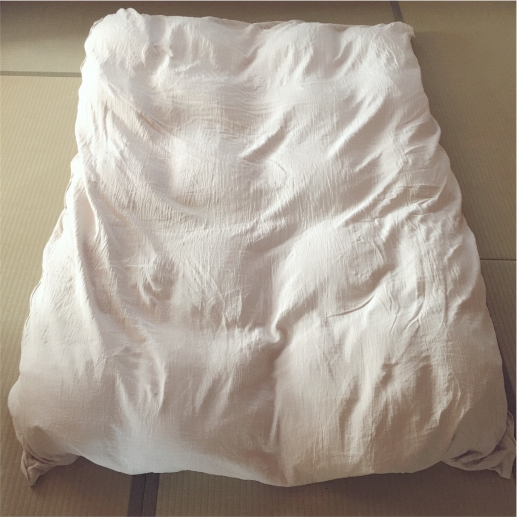 f:id:zzzpanda:20161209104230j:image