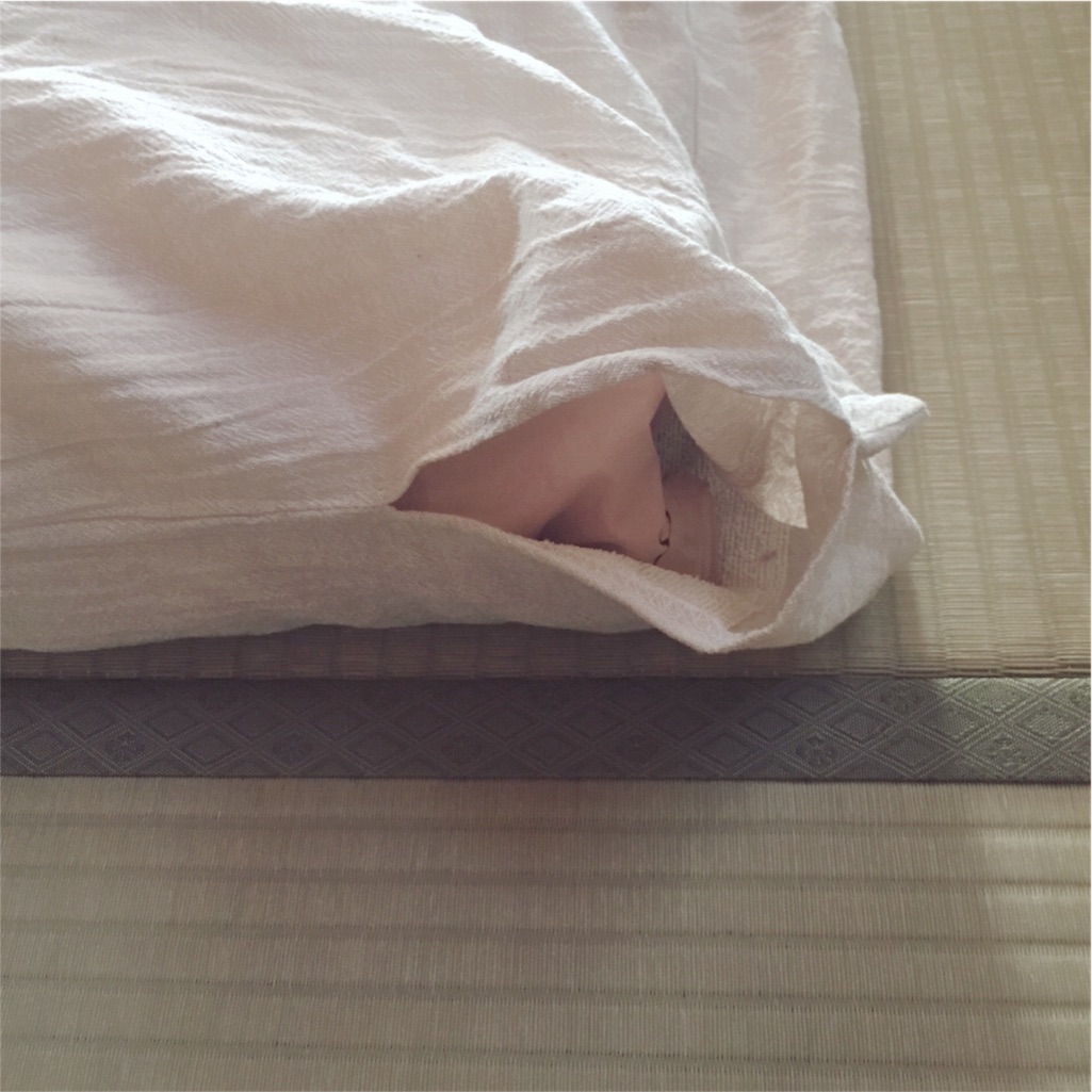 f:id:zzzpanda:20161209104239j:image