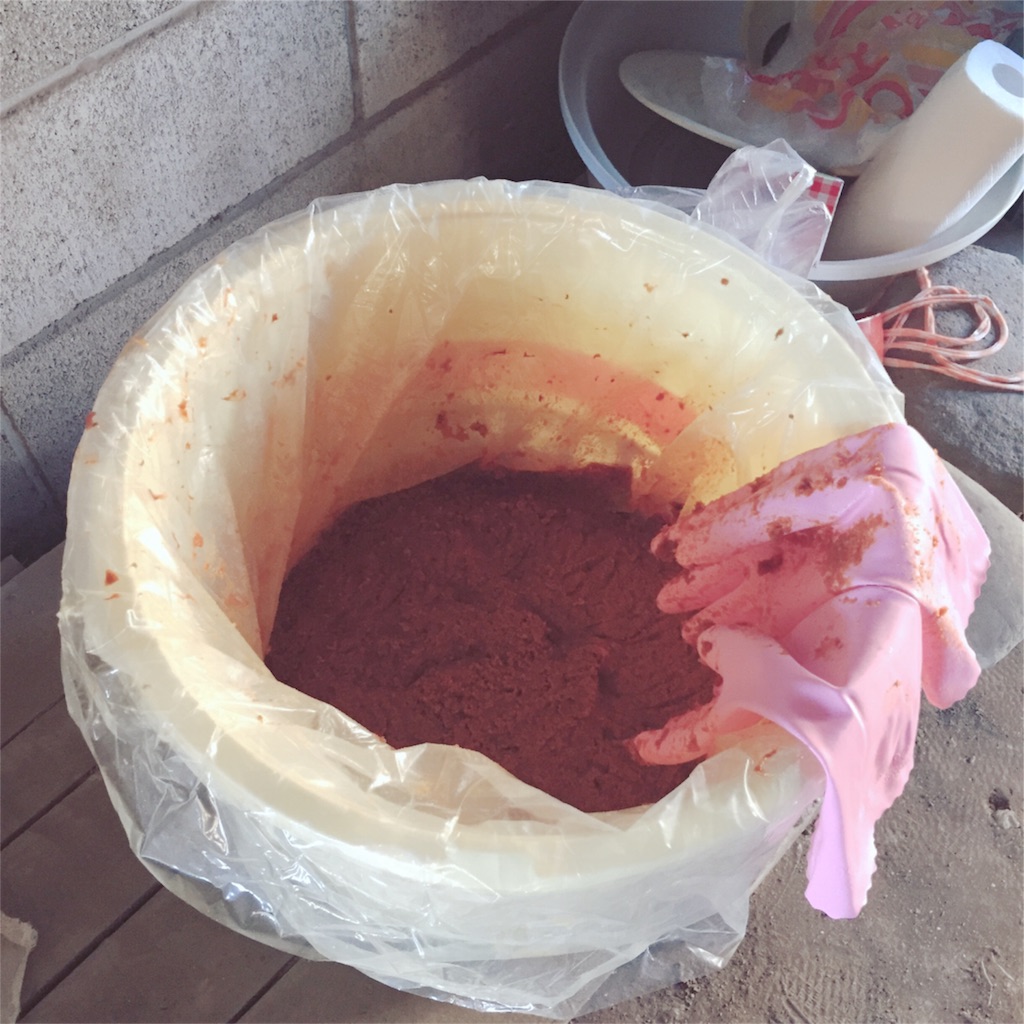 f:id:zzzpanda:20170114094356j:image