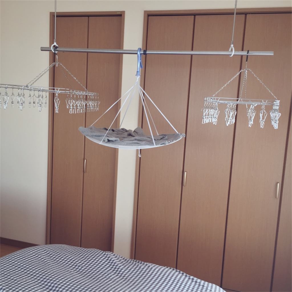 f:id:zzzpanda:20170118135440j:image