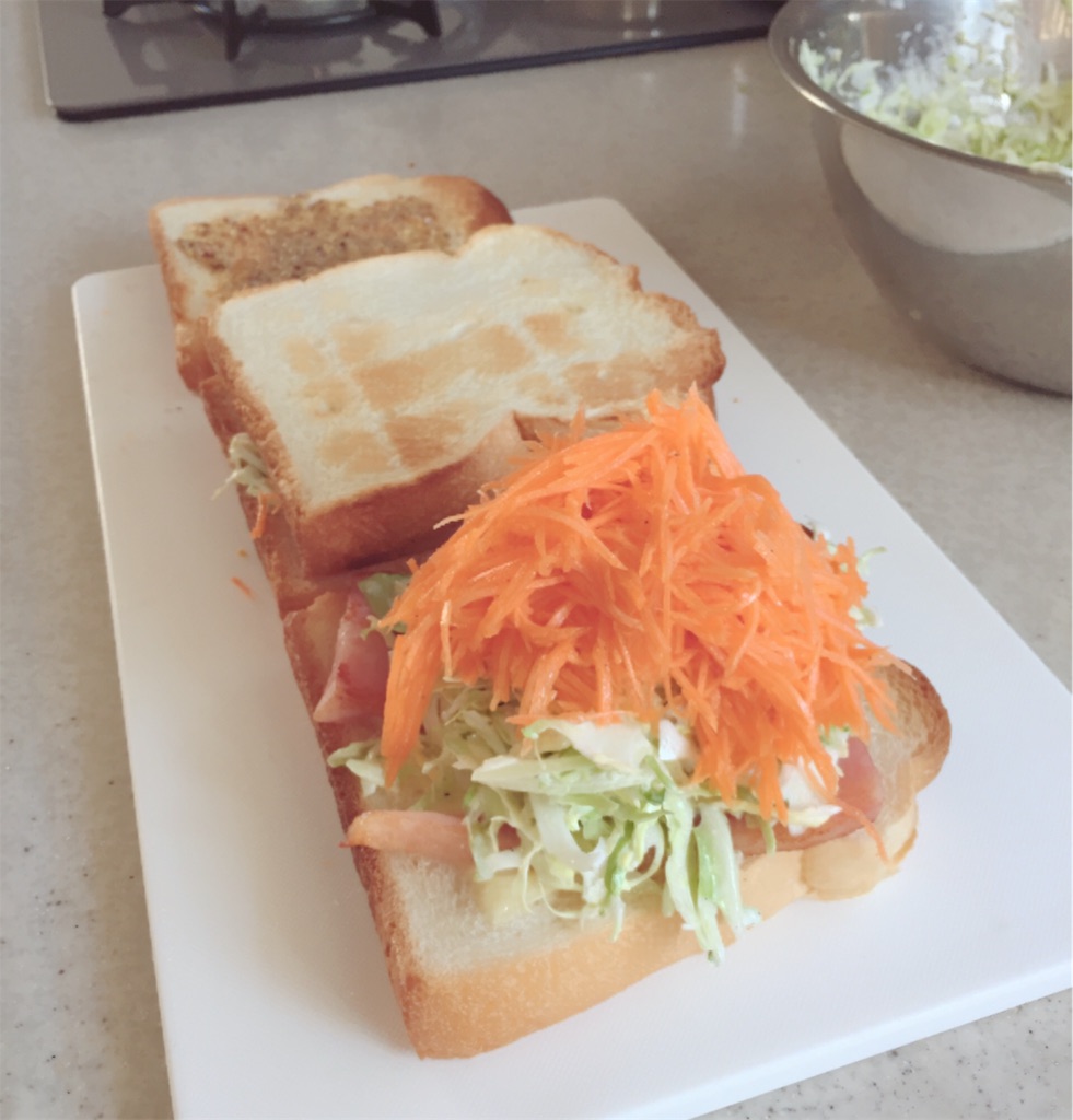 f:id:zzzpanda:20170130142058j:image