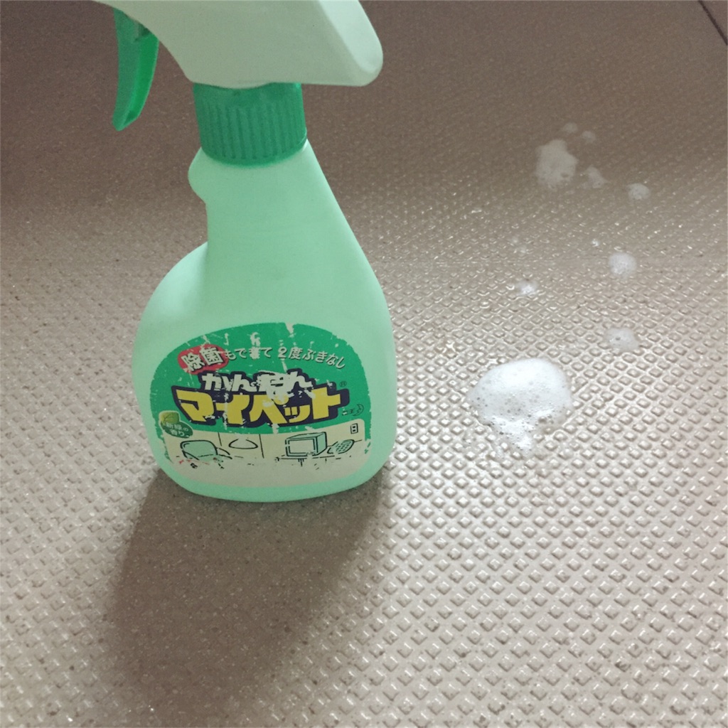 f:id:zzzpanda:20170427162928j:image