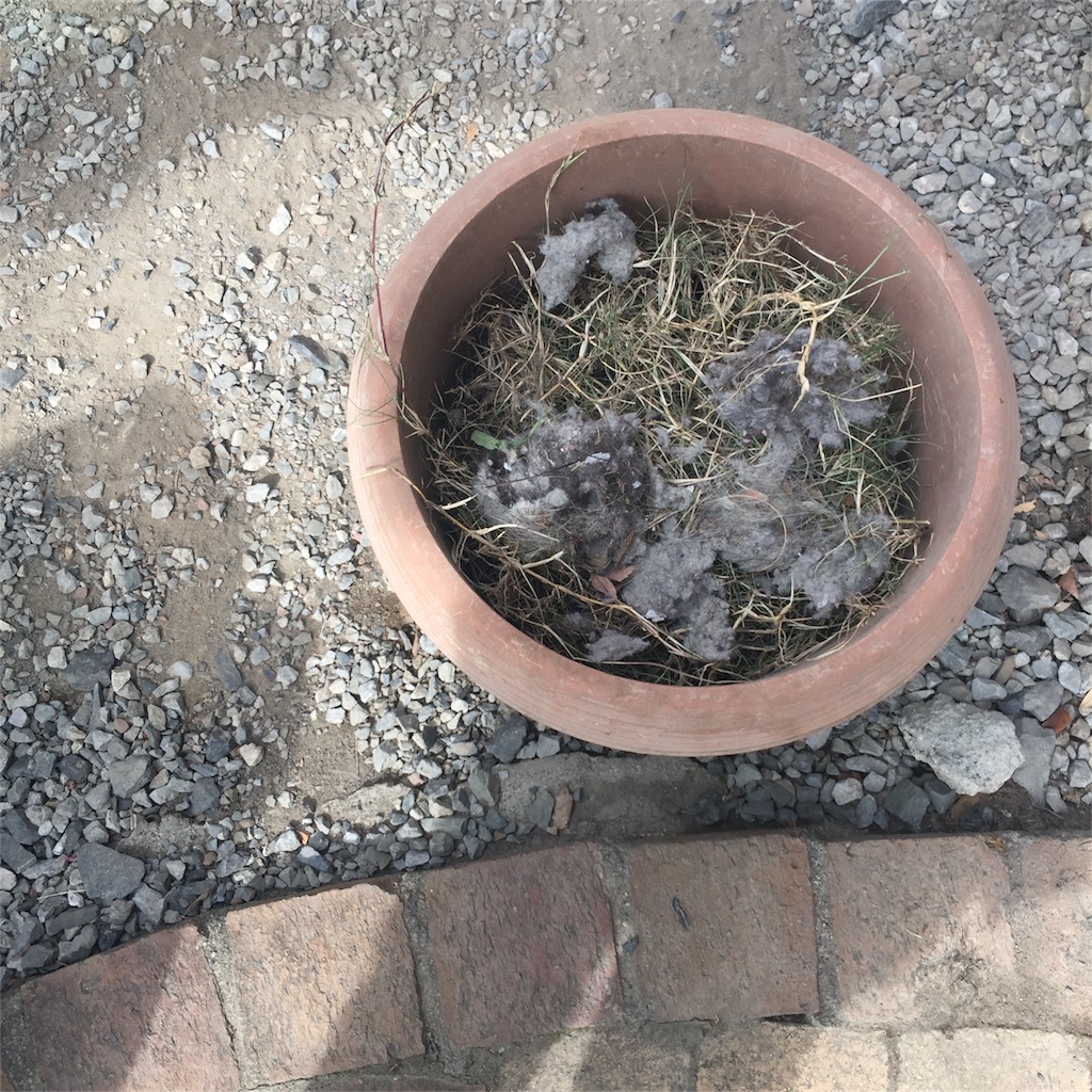 庭を見ればその家の状態がわかる？ハッとして思わず動いてしまった話 Natuloveな日々