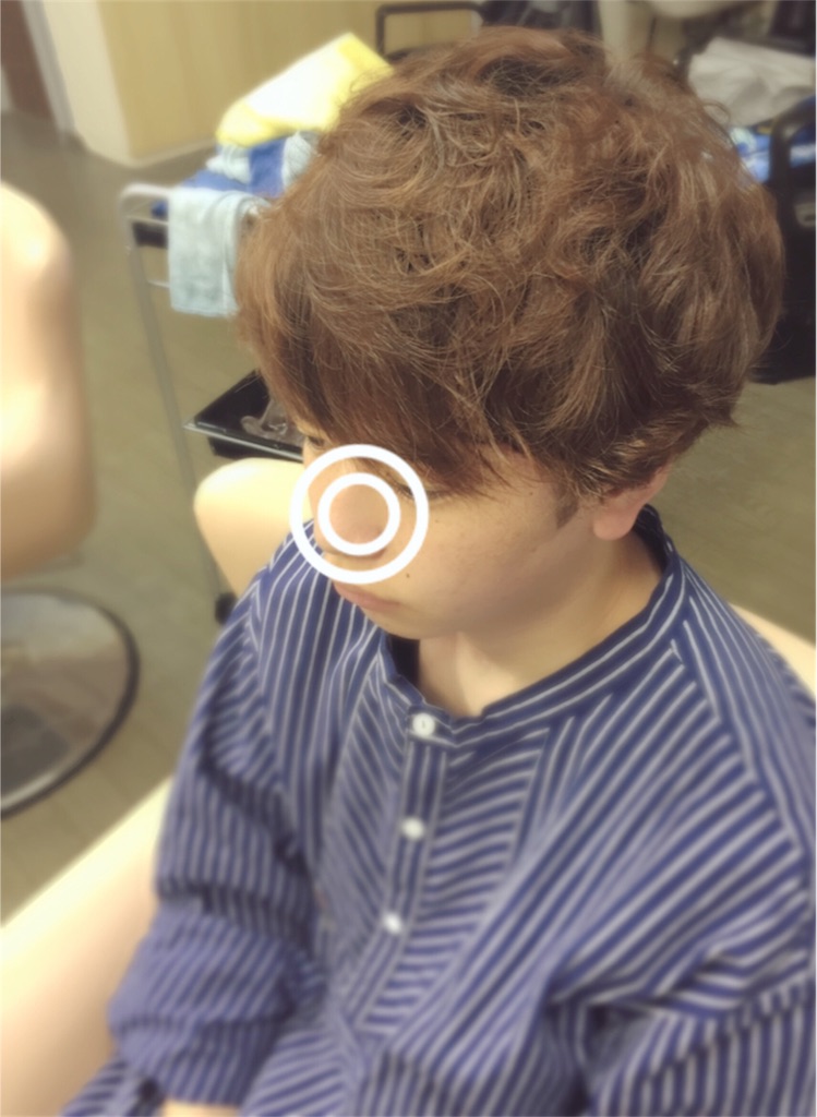 f:id:zzzpanda:20170508130303j:image