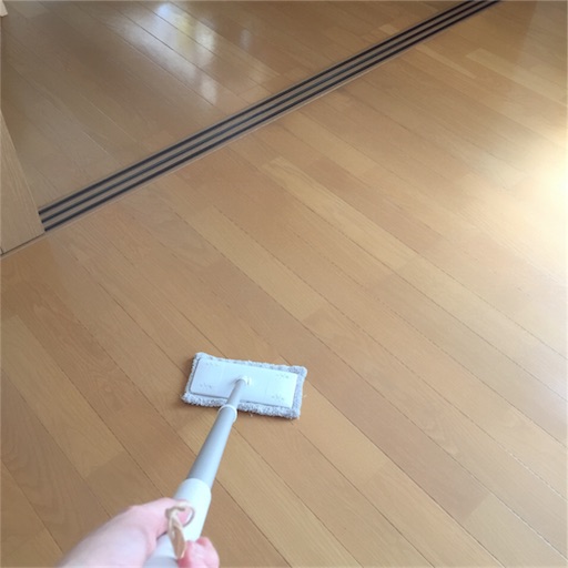 f:id:zzzpanda:20170616142419j:image