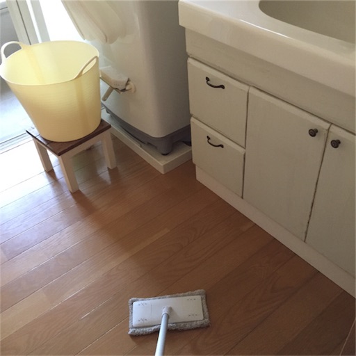 f:id:zzzpanda:20170616142453j:image