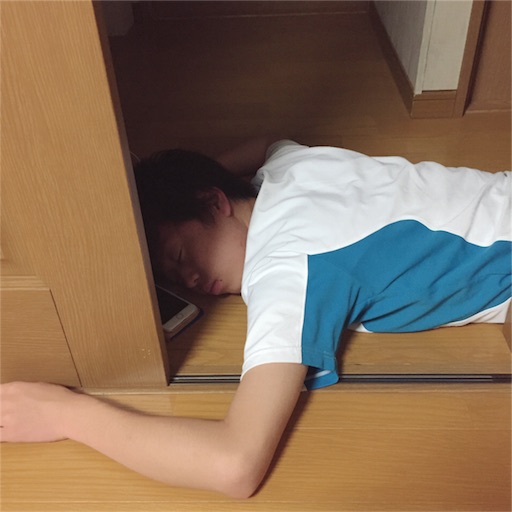 f:id:zzzpanda:20170616173635j:image