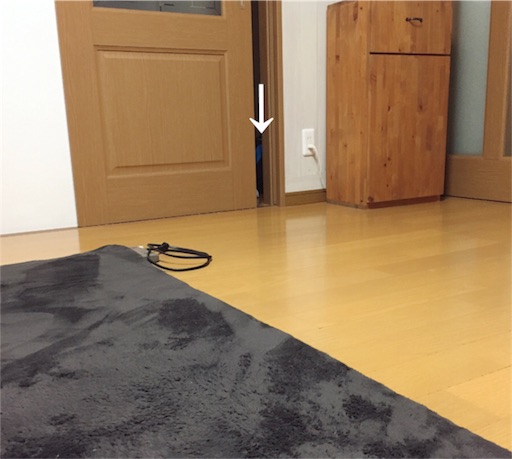 f:id:zzzpanda:20170616181212j:image