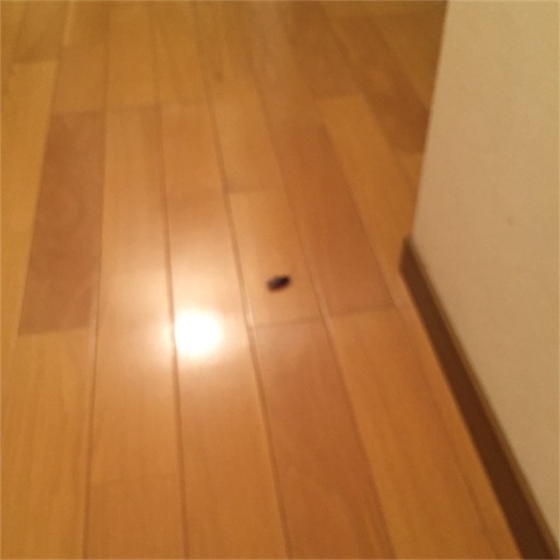 f:id:zzzpanda:20170629130804j:image