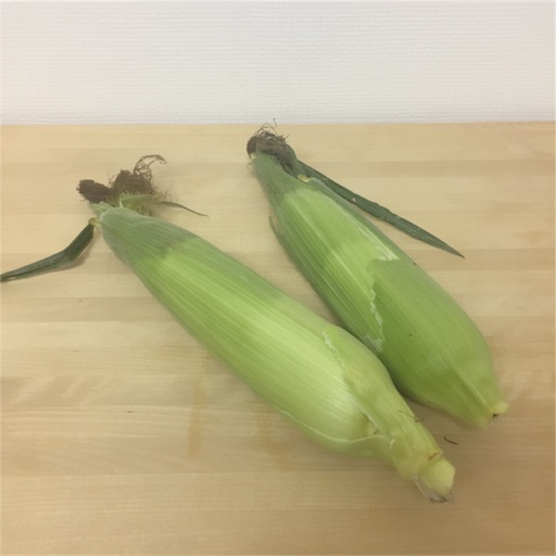 f:id:zzzpanda:20170807112138j:image