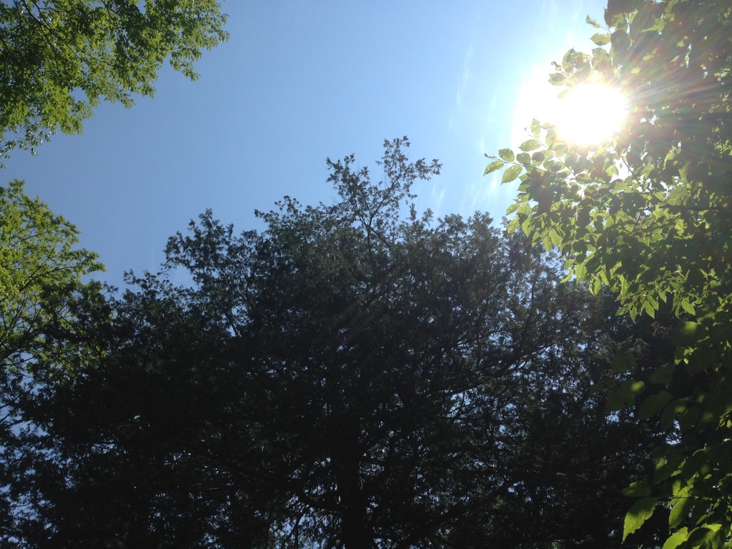 f:id:zzzuke:20150816232736j:image f:id:zzzuke:20150816232736j:image