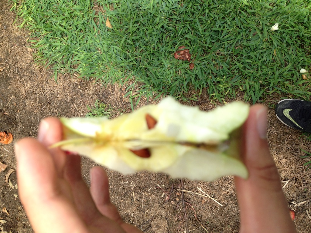 f:id:zzzuke:20150823143424j:image f:id:zzzuke:20150823143424j:image